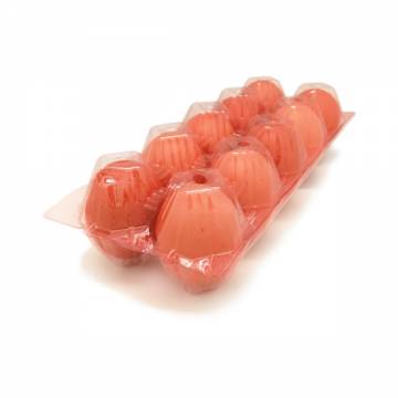 Local Farm Eggs 10PCS