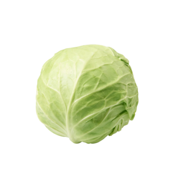 Beijing Cabbage 450G-500G